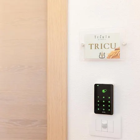 Triula Domus Pensjonat 3*
